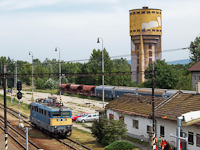 kép