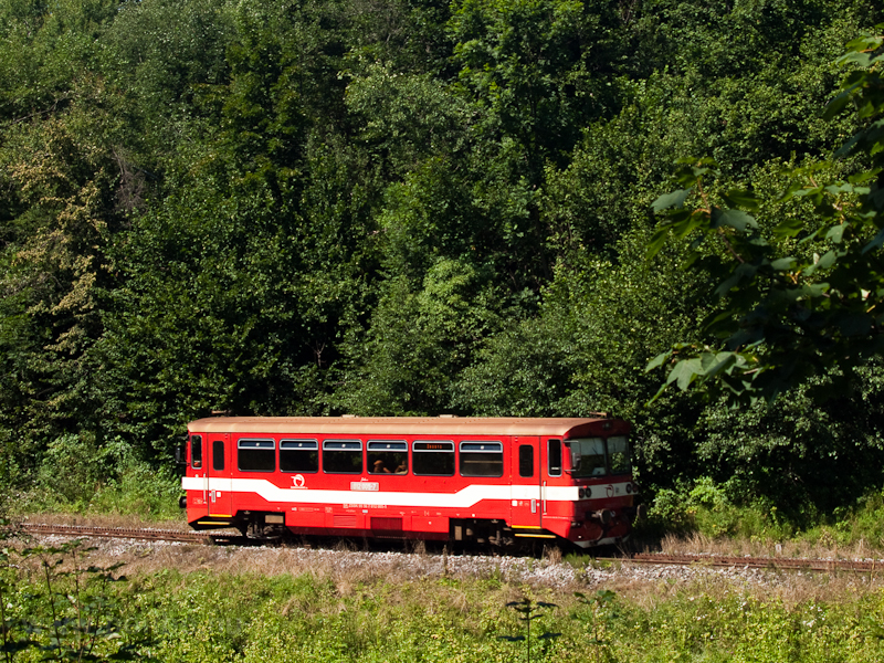 The 812 005-7 between Tisov photo