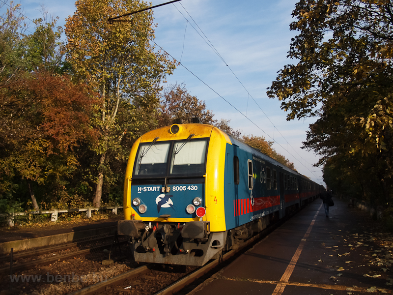 A 8005 430 plyaszm vezrlőkocsi Sződ-Sződliget megllhelyen
 fot