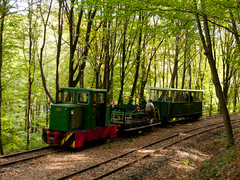 The Nagybörzsöny Forest Rai photo
