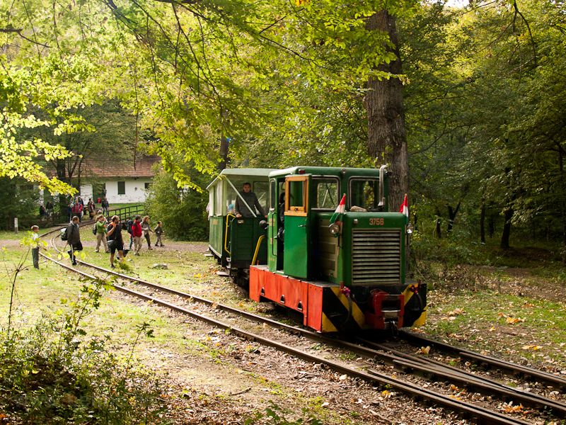 The Nagybörzsöny Forest Rai picture