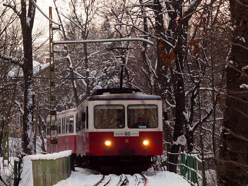 The rack railway by Vrosk picture