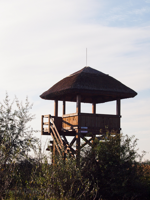 Bird watch tower at Dinnyés photo
