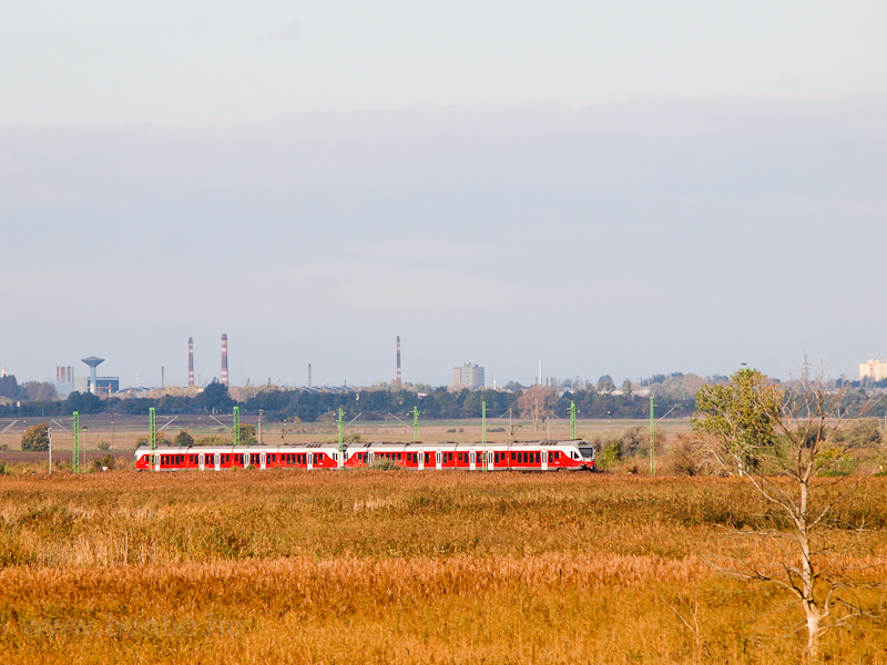 MV-START class 5341 Dolphi photo