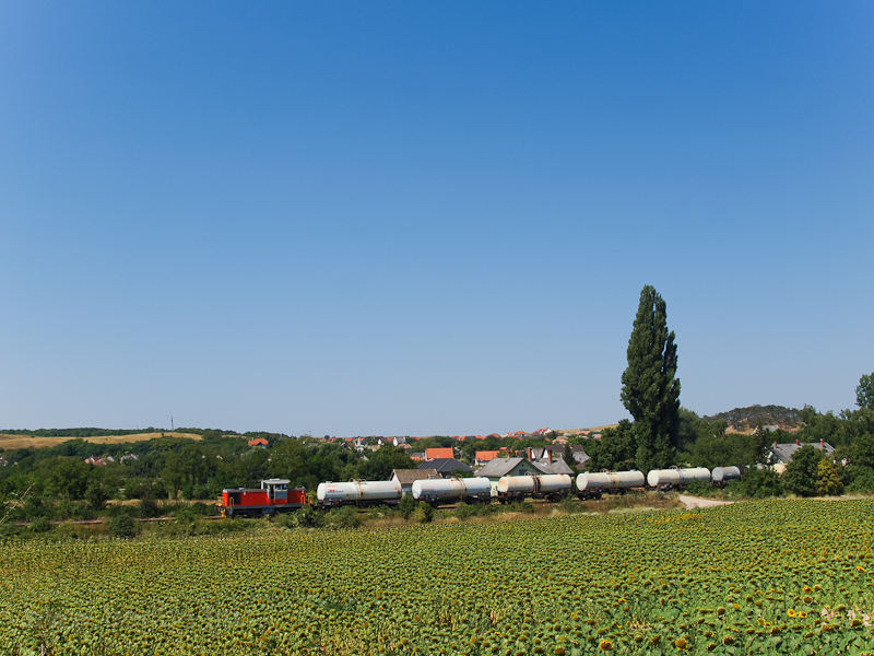 Freight train near Sóly picture