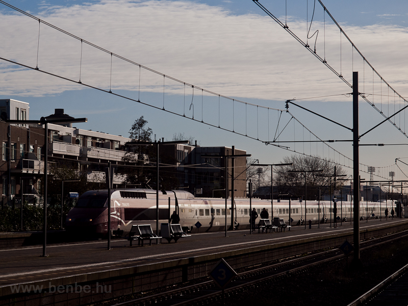 Thalys Rotterdam Zuid llomson
 fot