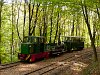 The Nagybrzsny Forest Railway