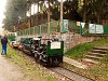 Track maintenance with volunteers on the Kemence Museum Forestry Railway.