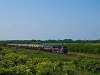 Two Pink-FLOYDS: The 659 002 is helping the 450 004-1 through the hills - the photo was taken at Tárkány-Csép stop