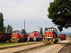 Three locomotives seen at Tokod