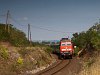 The GYSEV Ludmilla number 92 53 0 651 008 seen hauling a train from Balaton lake between Tapolca and Lesencetomaj