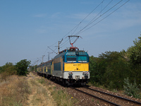 kép