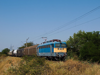 kép