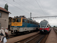 kép