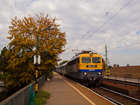 A MÁV-TR 431 311-es Papagáj egy Bmx-ekből álló vonattal az őszi Nagymaros-Visegrád állomáson
