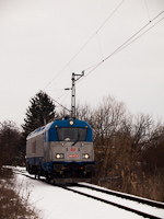 kép