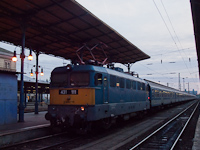kép