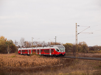 kép