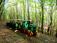 The Nagybrzsny Forest Railway