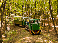 A Nagybörzsönyi Erdei Vasút C50 3756 Nagyírtásnál
