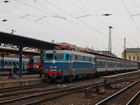 kép