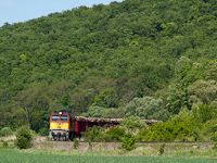 The MÁV-TR M62 228 is hauling a loaded lumber train between Püspökhatvan and Acsa-Erdőkürt