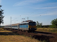 kép