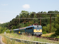 kép