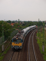 kép