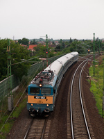 kép