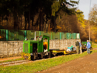 Track maintenance with volunteers on the Kemence Museum Forestry Railway.