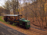 A P-2 pályaszámú, ős-kemencei MD40 sorozatú mozdony az erdei vasút Vilati állomásánál
