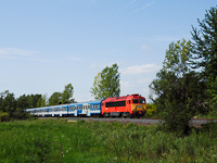 kép
