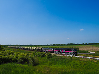 Two Pink-FLOYDS: The 659 002 is helping the 450 004-1 through the hills - the photo was taken at Trkny-Csp stop