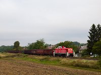 The DB Schenker 0469 104-1 (ex DB 290 513-7) seen hauling a freight train between Nyergesújfalu and Tát