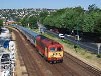 kép