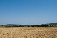 kép