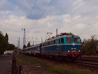kép