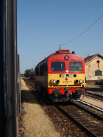 kép