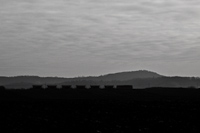 Greyscale beauty: an M41 with a gravel train between Ludnyhalszi and Szcsny