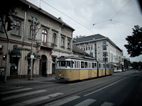 A BKV-made articulated historic tramcar nickname Bengáli seen on Krisztina körút
