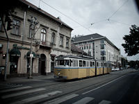 A BKV-made articulated historic tramcar nickname Bengli seen on Krisztina krt