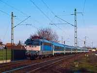 kép