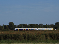 kép