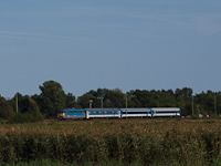 kép