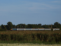 kép