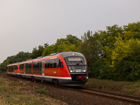 kép