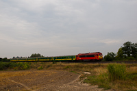kép