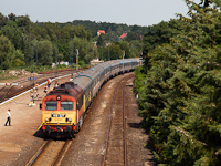 kép