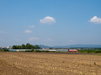 kép